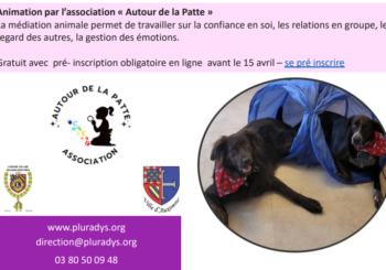 Atelier découverte de la médiation  animale